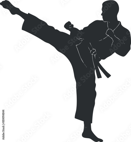 Dynamic silhouette vector illustration of a karate practitioner executing a high kick for sports and fitness designs