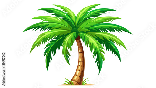 Very beautiful single palm tree isolated on a clean white background, featuring vibrant green fronds and a slender textured trunk, creating a simple and elegant tropical element for design use.