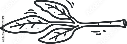 Hand-drawn outline illustration of a leafy plant branch, perfect for botanical design projects and eco-themed graphics