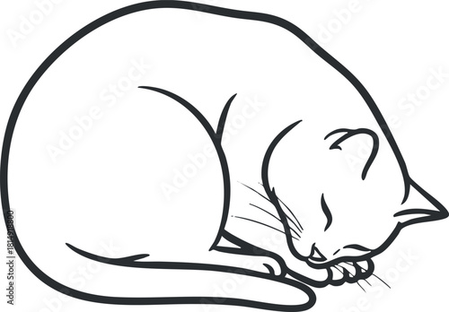 Minimalist line art vector illustration of a sleeping cat, perfect for pet-related design projects and branding.