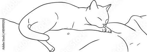 Minimalist line art illustration of a sleeping cat in a relaxed pose, perfect for pet-themed design projects.