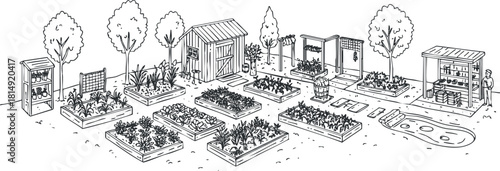Detailed black and white vector illustration of an organized community garden layout featuring various plants, garden beds, and structures.