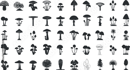 Versatile black silhouette vector collection of various mushroom species and fungi for botanical and nature-themed designs