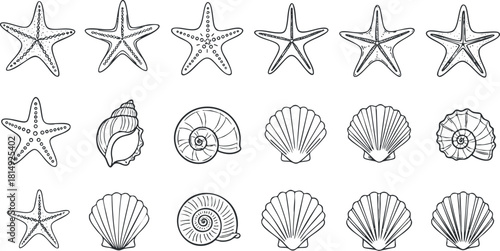 Outline vector collection of marine life including starfish and various seashells for creative projects and design