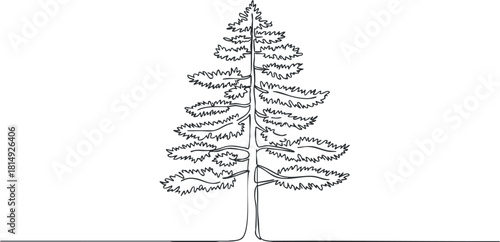 Stylized outline vector illustration of a tall tree designed for nature-themed projects and botanical designs