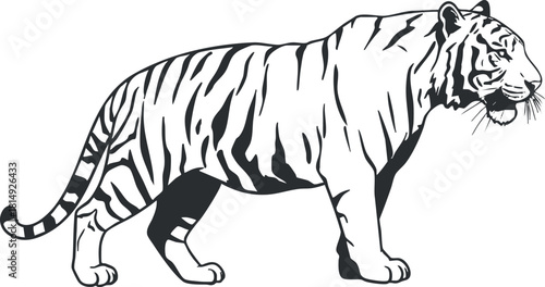 Black and white vector illustration of a majestic tiger showcasing its stripes and powerful stance for wildlife-themed projects.