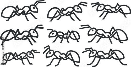 Set of minimalist line art vector illustrations featuring various poses of ants for educational and design purposes
