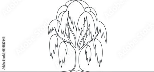Minimalist outline vector illustration of a willow tree, perfect for nature-themed designs or eco-friendly projects