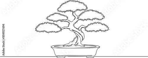 Outline vector illustration of a bonsai tree in a decorative pot, perfect for nature-themed design projects