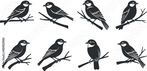 Set of black silhouette vector illustrations of birds perched on branches, ideal for nature-themed design projects.