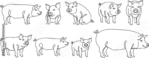 Cute outline vector illustration set of playful pigs in various poses for farm-themed projects and designs
