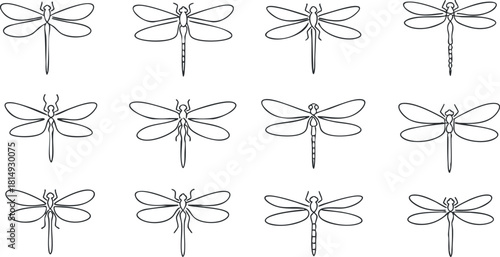 Outline vector illustration set of dragonflies, perfect for nature-themed design projects and decorative purposes