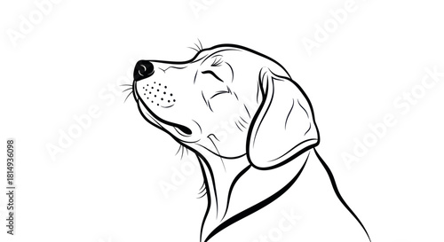 A detailed line drawing of a dogs head with its eyes closed.