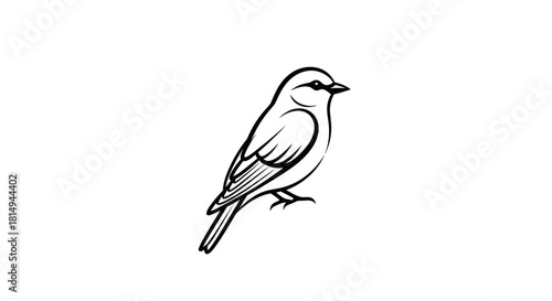 Detailed black and white illustration of a small bird perched elegantly.