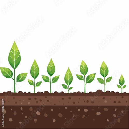 Growing Green Sprouts in Fertile Soil