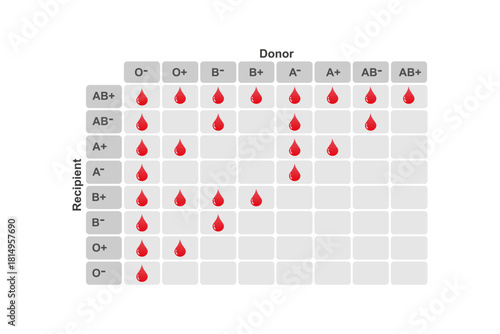 Abo Blood Types Compatibility Science Design. Vector Illustration.