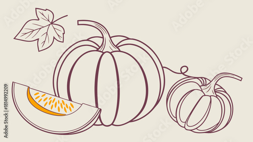 Autumn Pumpkins and Squash Line Art. Harvest illustration with melon slice, seeds, and fall leaf outline.