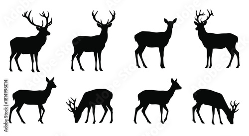 Silhouette collection of deer in various poses and stages of growth
