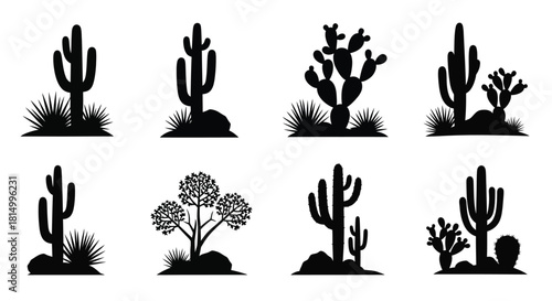 A collection of diverse cactus silhouettes against a stark white background