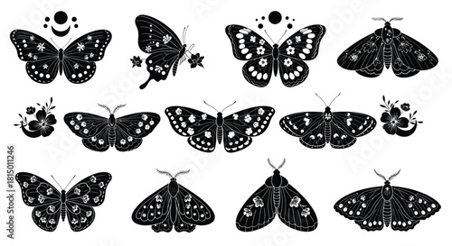 Elegant collection of black moths and butterflies in a decorative arrangement