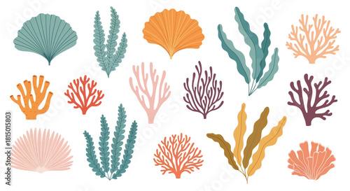 Assorted Seaweed and Coral Collection.
