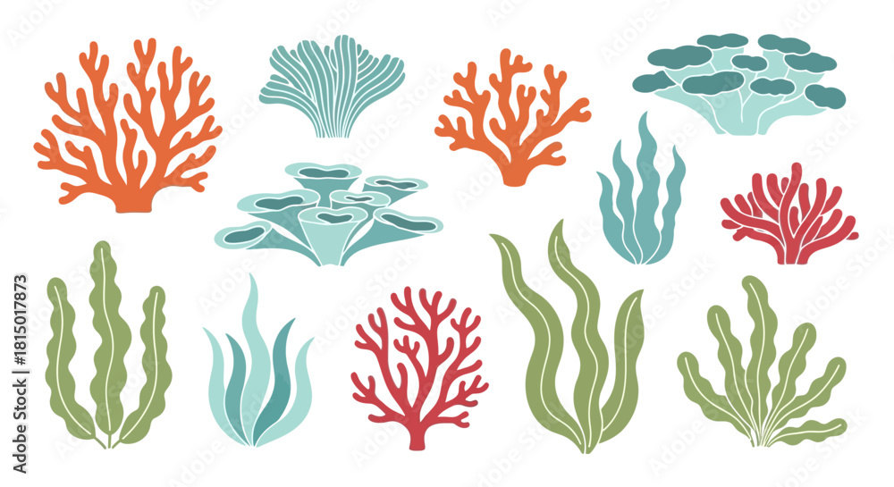 Obraz premium Colorful Coral and Seaweed Collection - Underwater Flora.