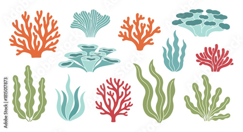 Colorful Coral and Seaweed Collection - Underwater Flora.