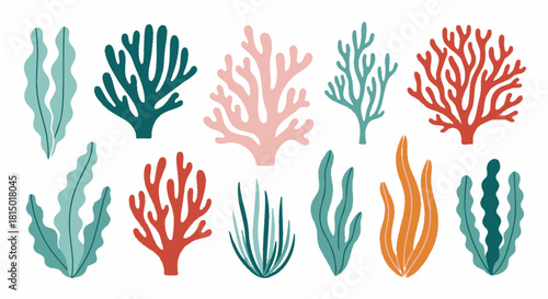 Colorful Coral Reef Plants - A Diverse Aquatic Collection.