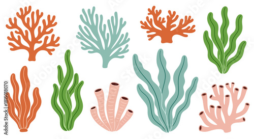 Colorful Seaweed and Coral Collection.