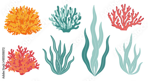 Colorful Coral Reef Plants and Seaweed Collection.