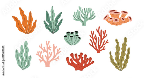 Colorful Seaweed and Coral Collection - Underwater Flora.