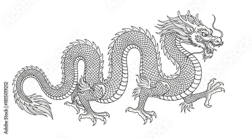Detailed Line Art of a Traditional Chinese Dragon Illustration.