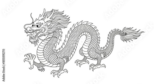Detailed Line Art of a Traditional Chinese Dragon Illustration.