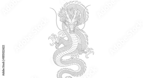 Intricate Silver Dragon Illustration - A Symbol of Power and Mysticism.