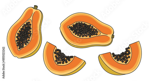 Sliced papaya fruit illustration depicting halved and wedge shaped pieces