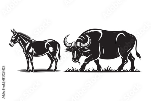 Silhouette of a donkey and a gaur or bison in a field