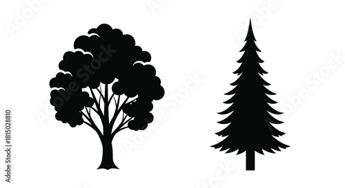 Simple black silhouettes of a deciduous tree and a coniferous evergreen