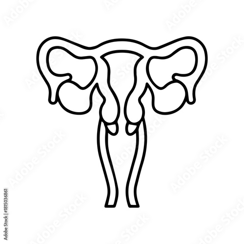 Female reproductive system icon