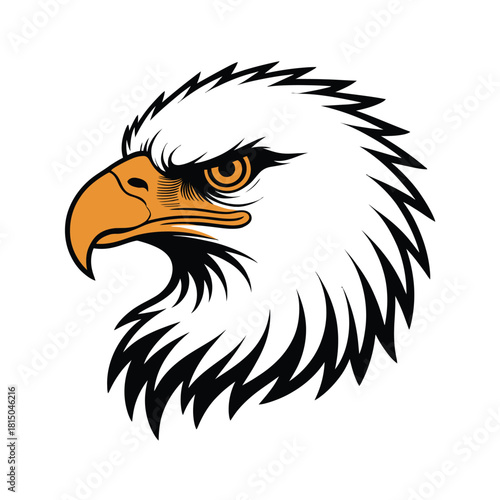 Illustration of an eagle head with a determined expression, isolated on, showcasing its sharp beak and detailed feathers in a vector style