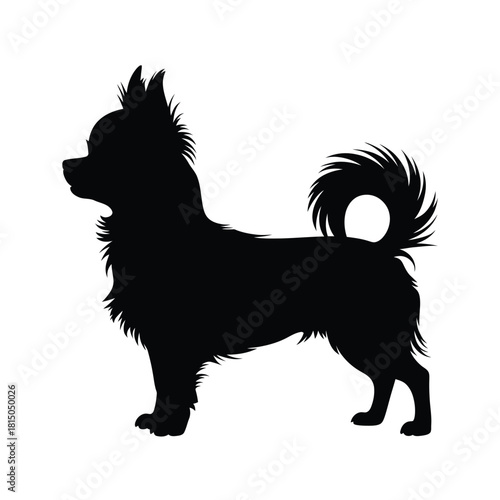 Silhouette of a longhaired chihuahua isolated on, showcasing its elegant and petite form, a popular breed known for its loyalty and charm