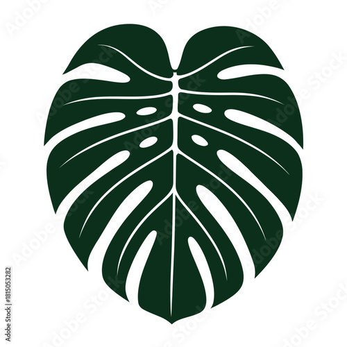 Illustration of a dark green monstera leaf isolated on, showcasing its unique fenestrations and vibrant color, perfect for tropicalthemed designs