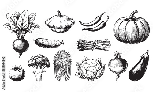 Handdrawn sketch of various organic vegetables, including pumpkin, beetroot, and chili