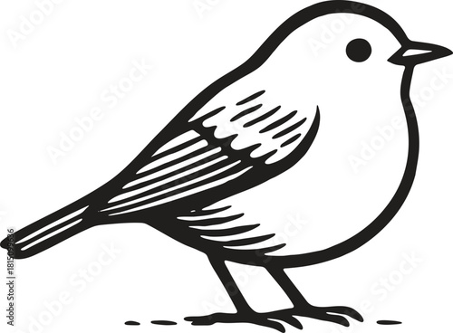 European robin linocut bird illustration with engraved feathers and clean black and white etching perfect for packaging backgrounds and label art