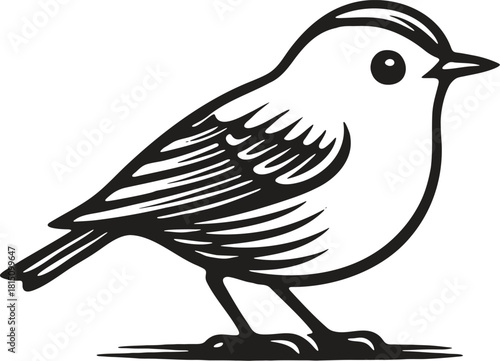 Goldcrest garden bird linocut illustration with detailed feathers and clean black and white etching style for packaging and labels