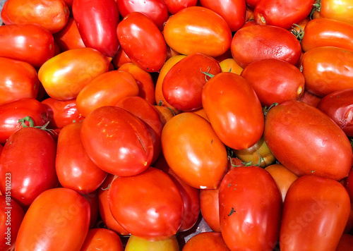Fresh Red Roma Tomatoes Close-Up