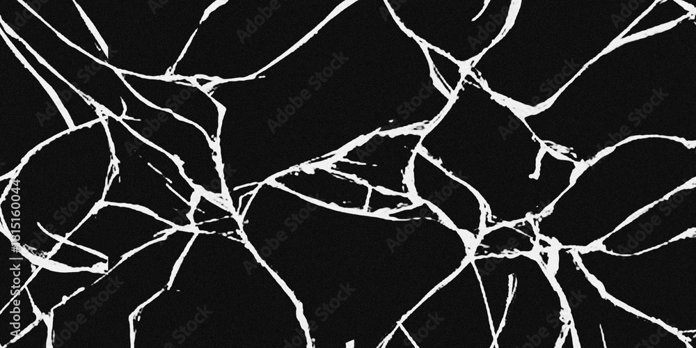 Obraz premium Abstract glass crack pattern. Sharp white lines contrast on a deep black,grunge background