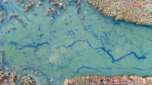 Abstract drone photography of deep blue water channels cutting through the muddy floor of a swamp creating a lightning-like pattern in the wetland texture