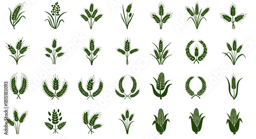 A collection of elegant green rice vector illustrations and PNG graphics showcasing various designs of rice plants, ideal for agricultural and food-related projects.
