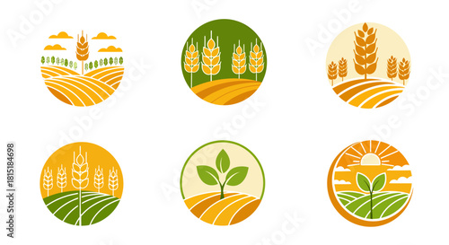 A set of vector illustrations displaying rice and wheat fields, perfect for use in branding for agricultural products or food-related businesses, presented in a clean, modern style.