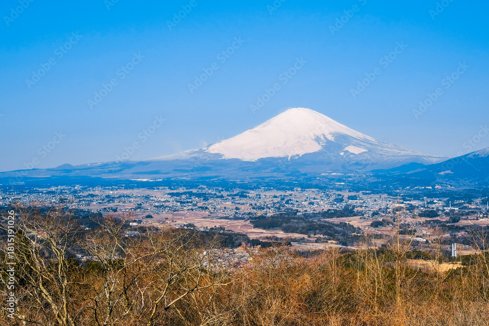 Fototapeta premium 富士山 足柄峠